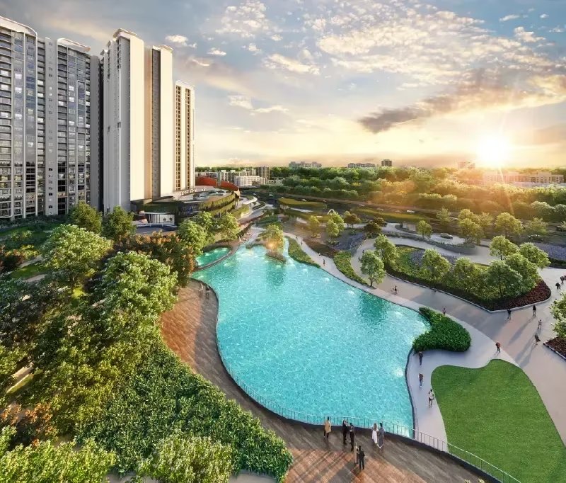 Project landscape and swimming pool